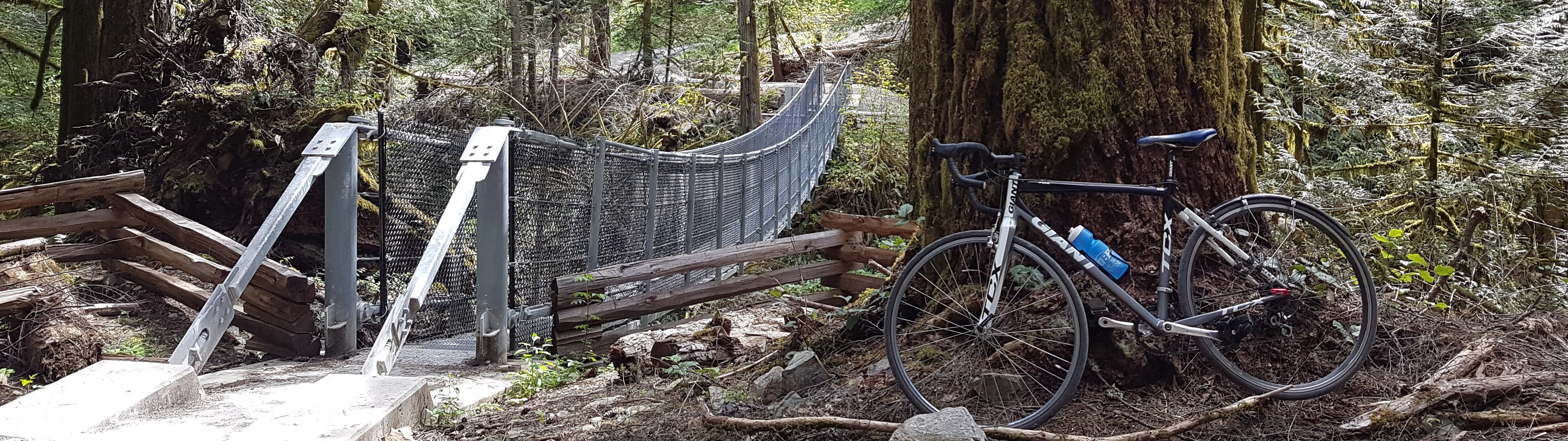 Bike and trail